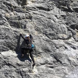 Meet your Posher, Frankie